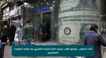 ثبات الدولار.. يتراجع تقلب سعره أمام الجنيه المصري بعد موجة تحويلات المغتربين